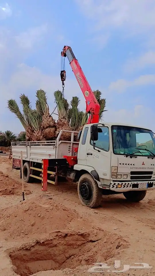 ابوعلي مختص في زرعت انخيل وزيتون الغلا 0