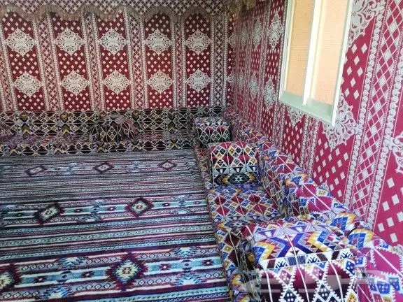 مجالس عربية 24