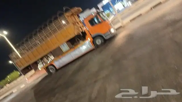 مسكس لوبد 1