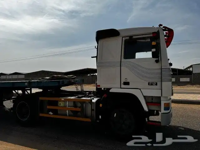 فلفو الزاهد مديل 93 0