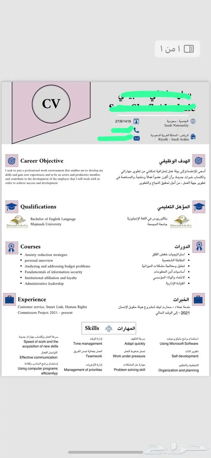 سيرة ذاتية احترافية 13