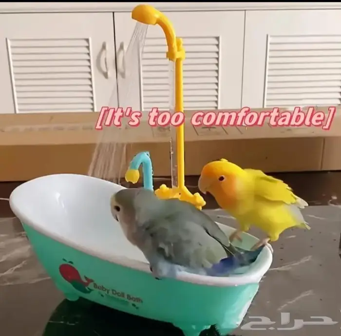 مروش عصافير يعمل بالبطارية 7