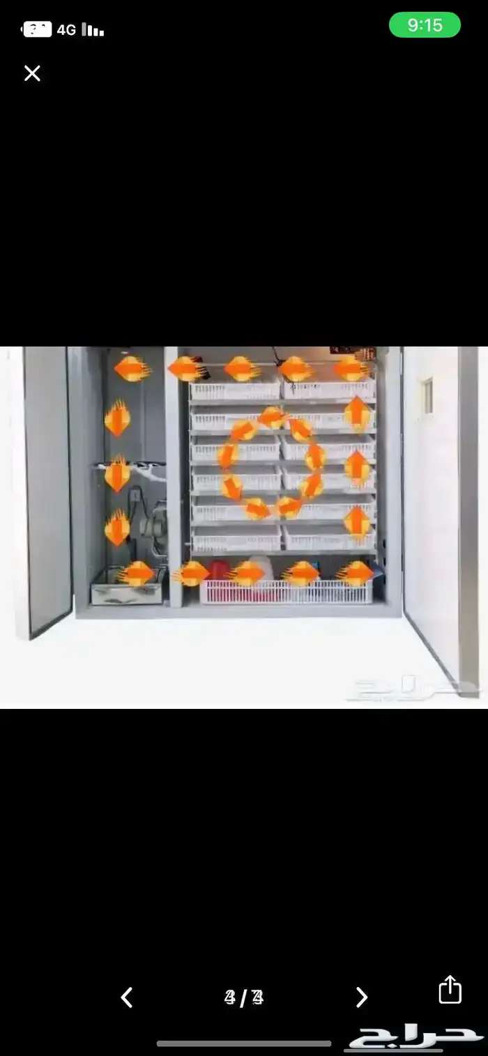 عليك البيض والفقاسه علينا 3