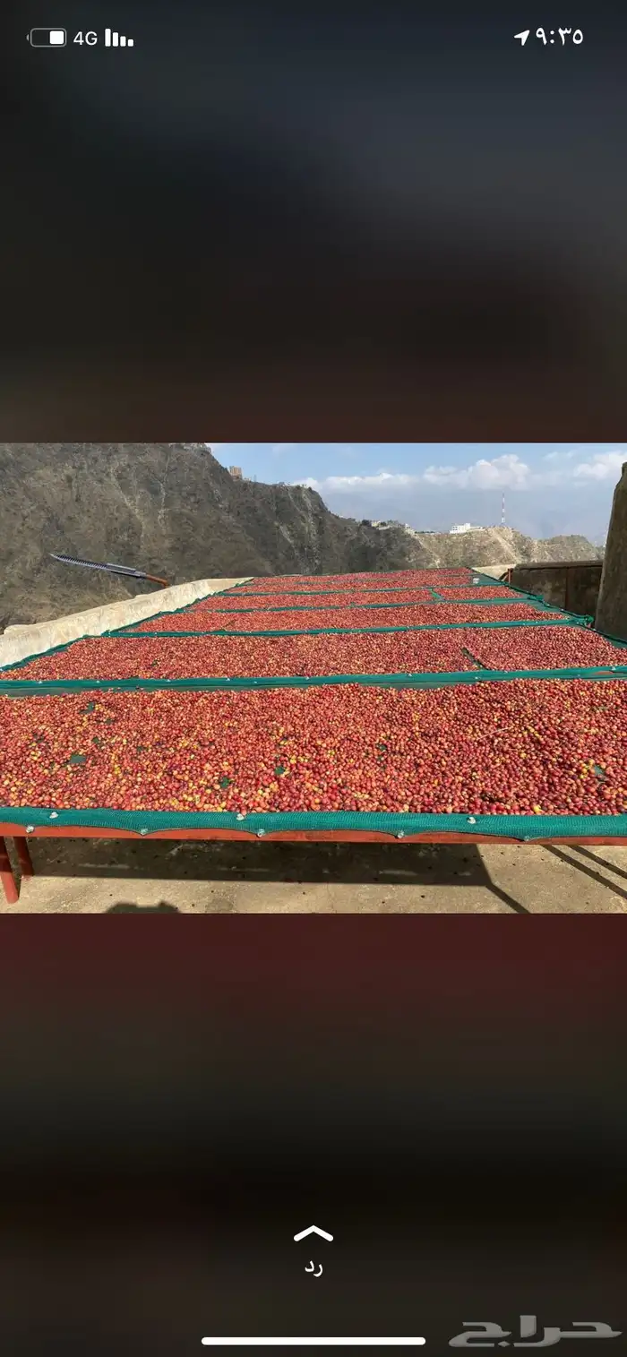 بن خولاني للبيع 12
