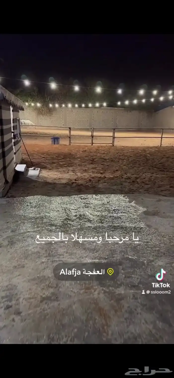 يعلن مربط أصايل خيبر عن خدماته الإيواء والعسف بالخرج 1