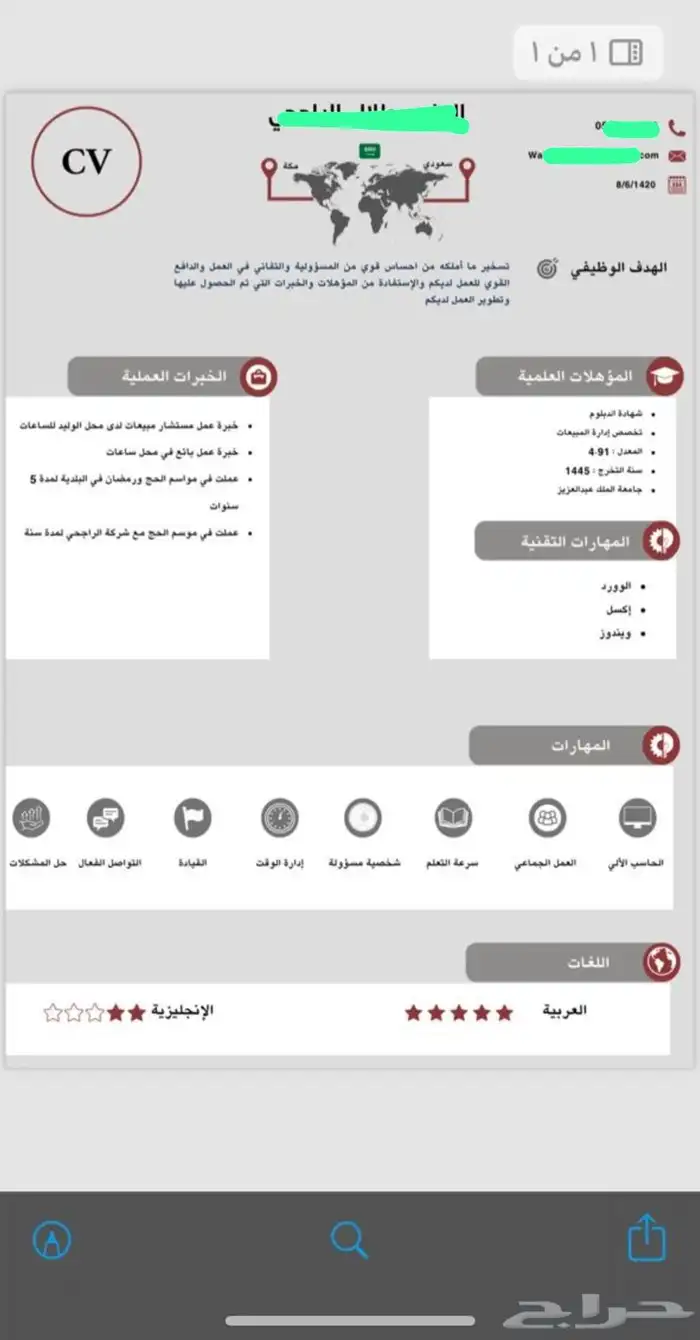 سيرة ذاتية احترافية 8
