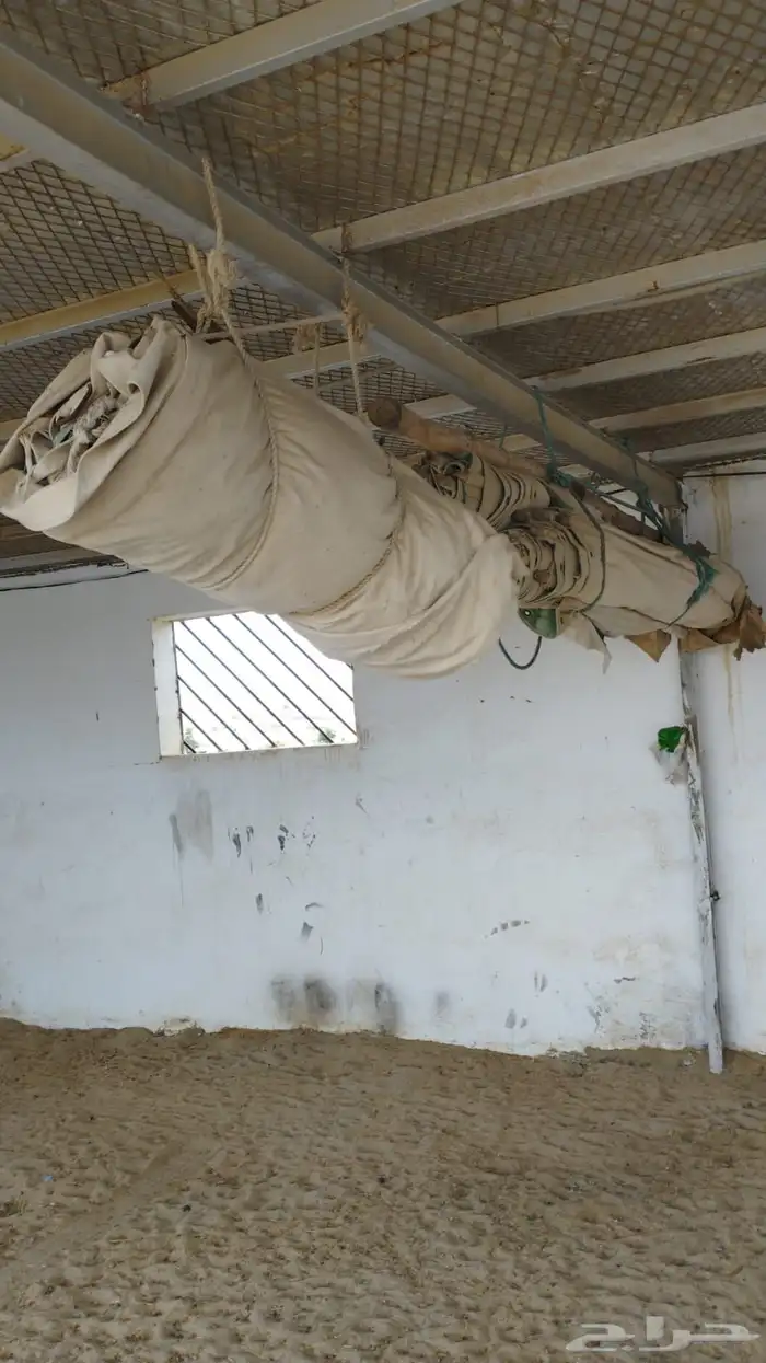 خيمه اسمها الصباحيه 2