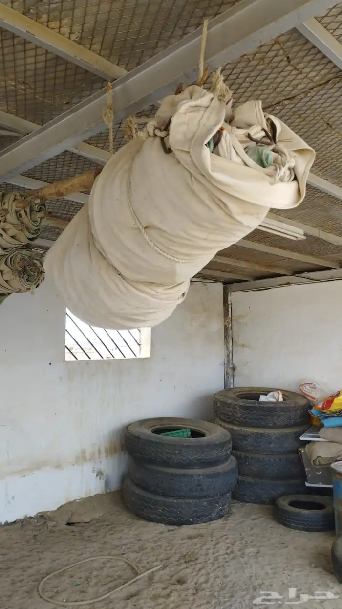 خيمه اسمها الصباحيه 4