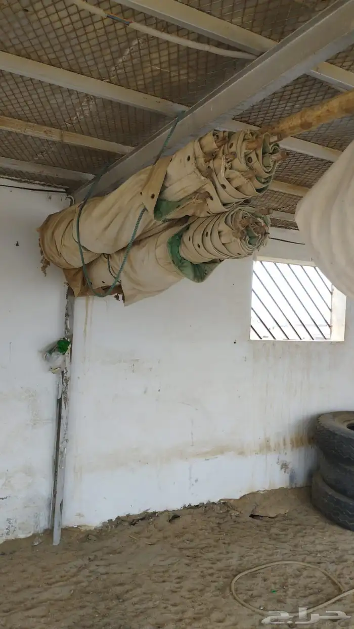 خيمه اسمها الصباحيه 5