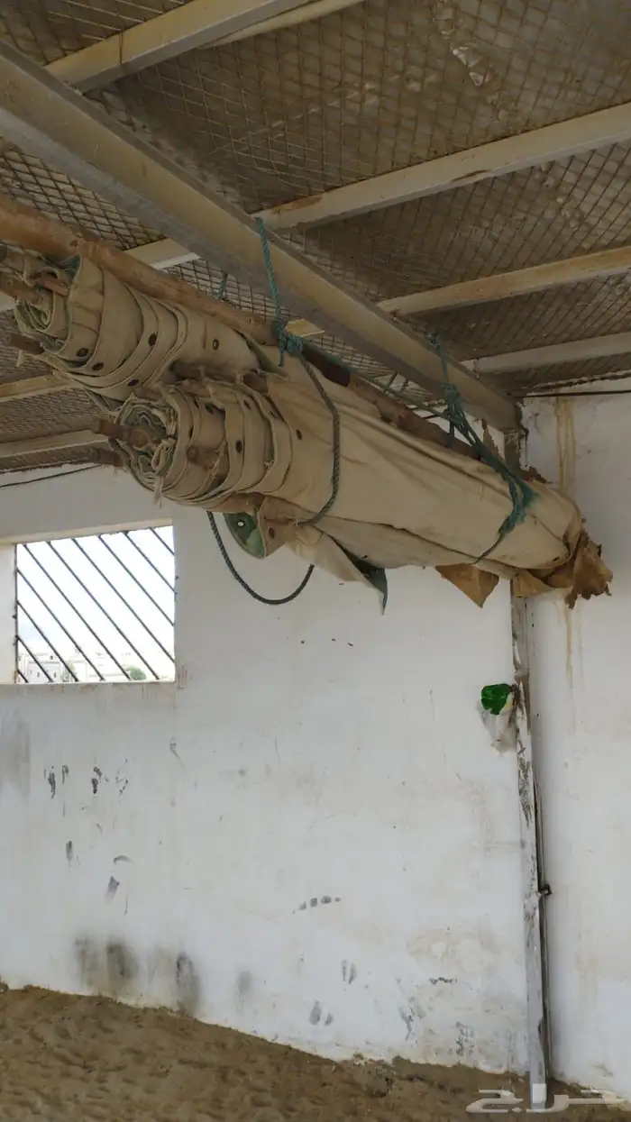 خيمه اسمها الصباحيه 3