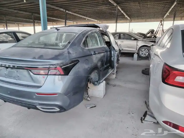 شيري اريزو20236 2