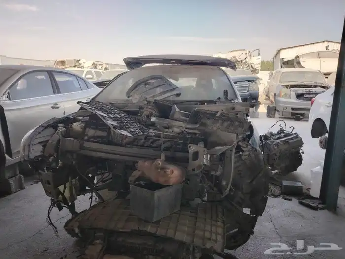 شيري اريزو20236 0