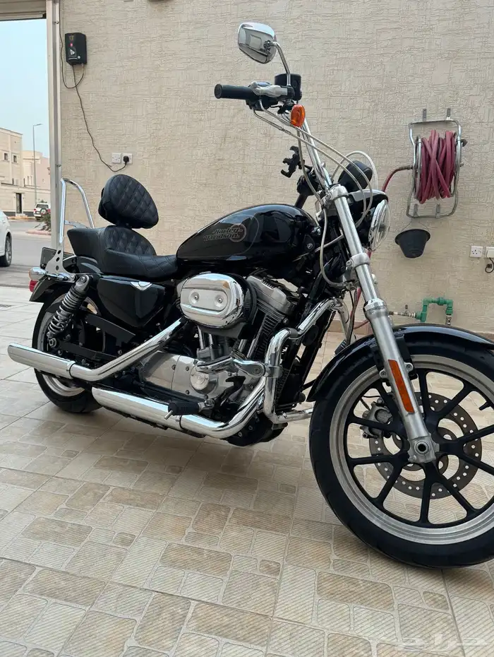 هارلي سبوستر XL883 2019 0