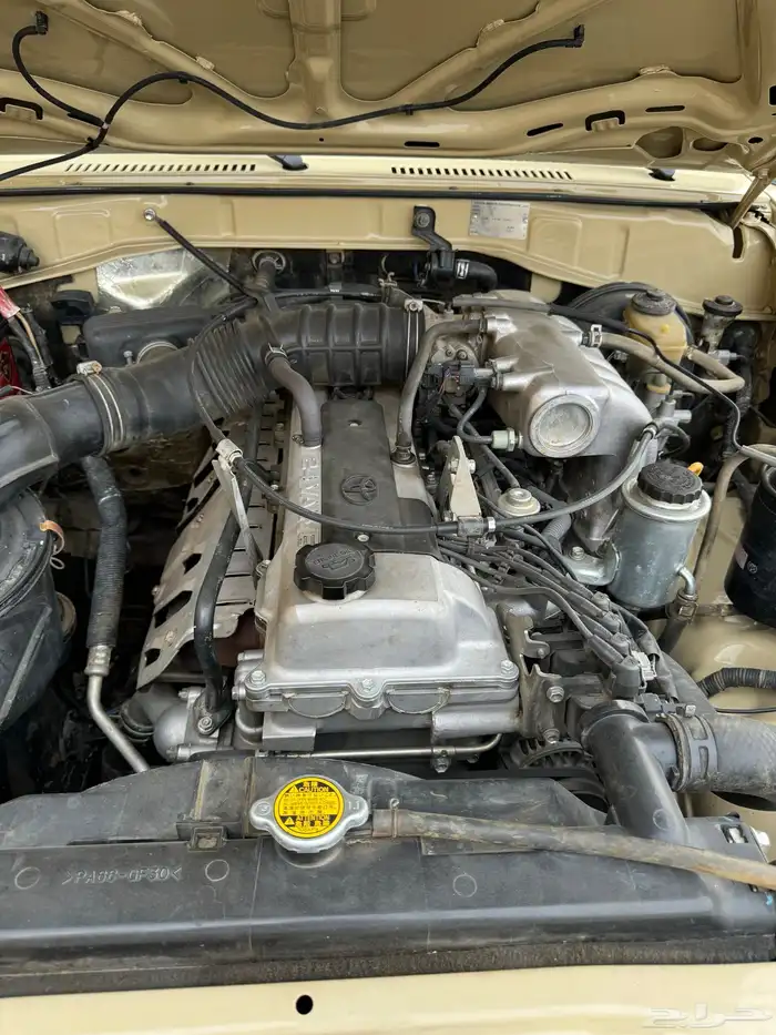 ربع 2005 بيج 31