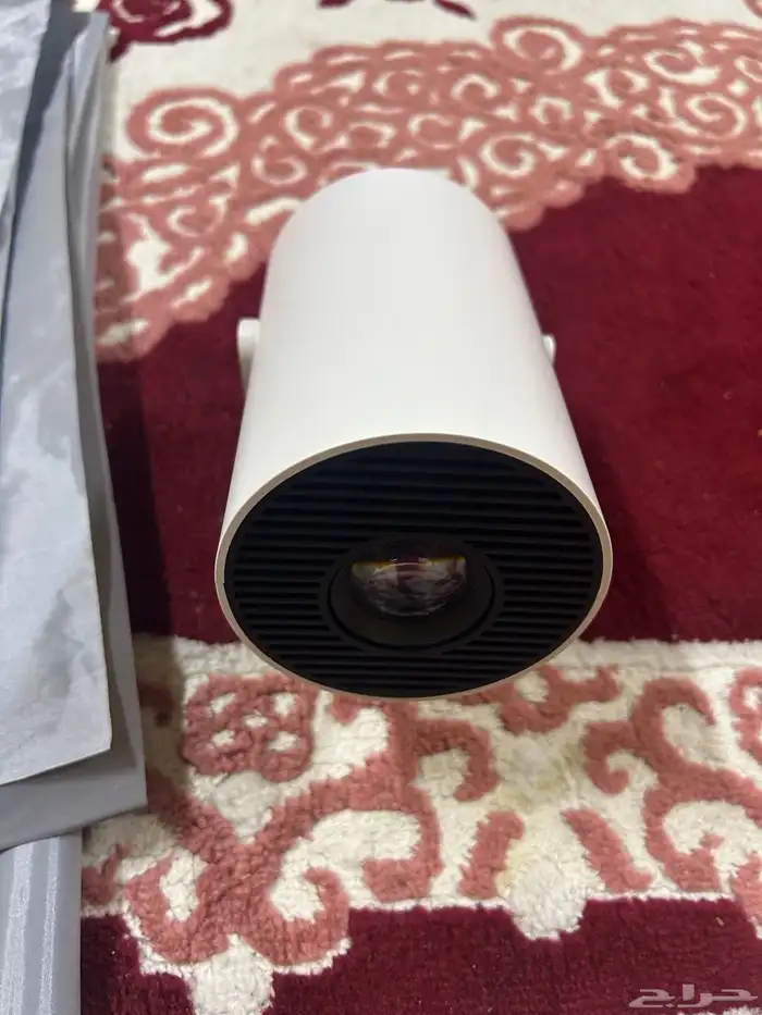 بلجاكتر للبيع 10