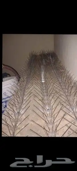 تركيب طاردالحمام تر ب غطا م فات شو شب 2