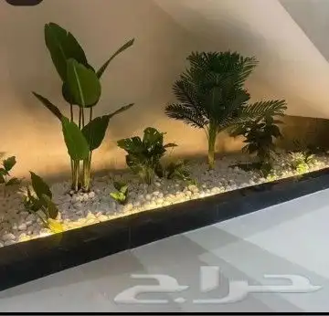 فن وتصميم وتنسيق الحدائق 19