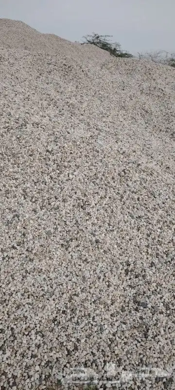 خرسان ابيض منظر حظاري 1
