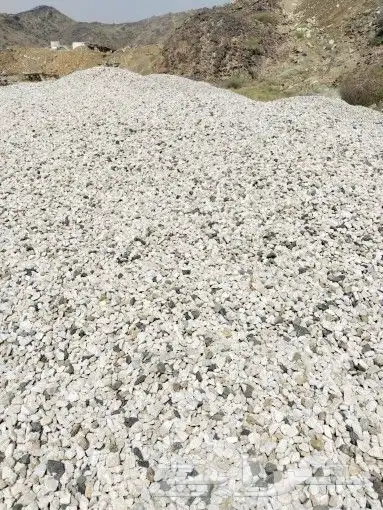 خرسان ابيض منظر حظاري 4