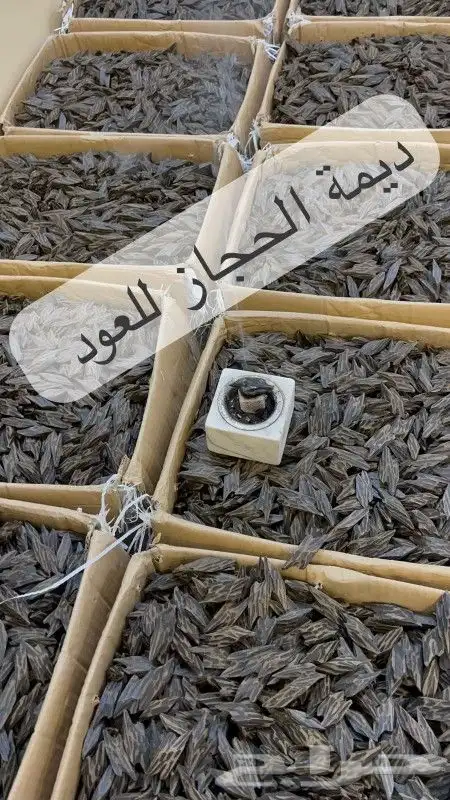 عود تايقر اصلي 750 للكرتون 1
