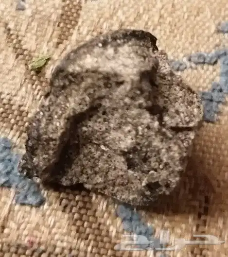 عنبر دخني اصلي. عنبربقري اصلي. محلول عنبر دخني اصلي. 5