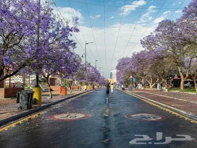 مرشد سياحي ابها 0