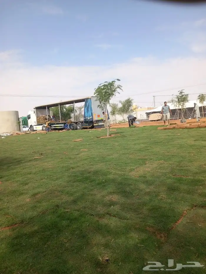 ثيل طبيعي جميع انواع العشب الصناعي 3