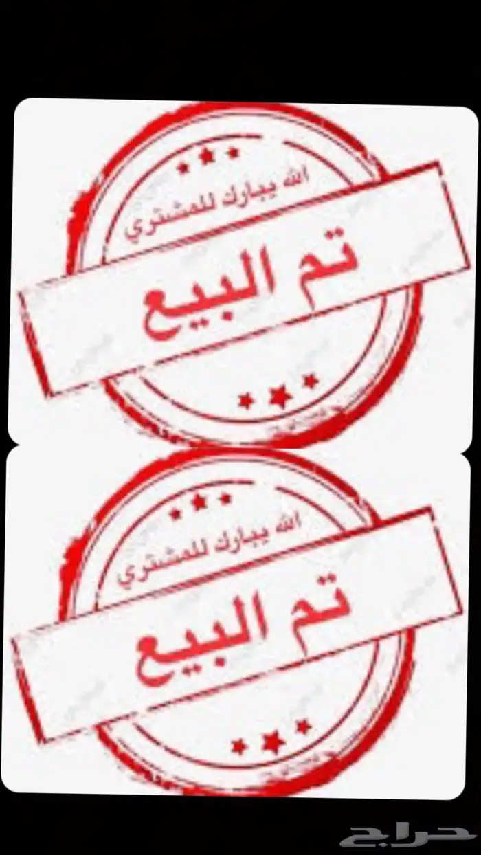 رخال نجد اصايل للبيع (تم البيع ) 2
