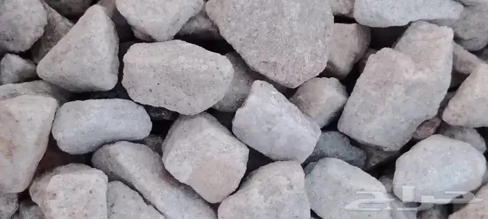 خرسان ابيض منظر حظاري 0