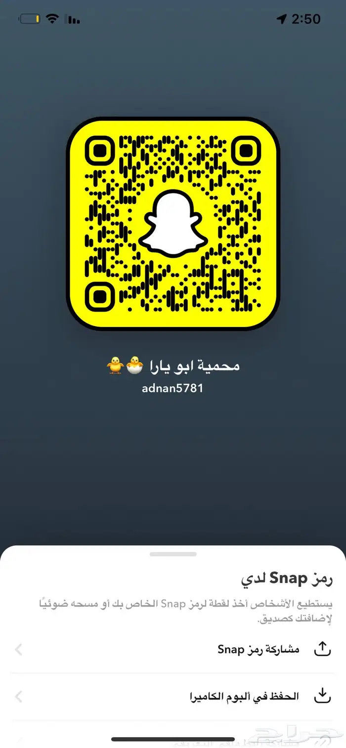 اناثي بادجي جاهزه للأنتاج ( تم البيع ) 5