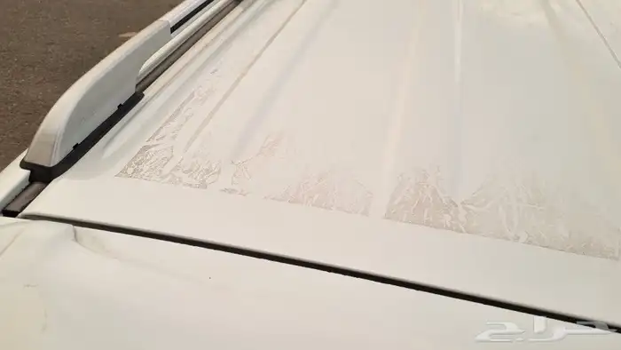 تم البيع الله يبارك للمشتري 49