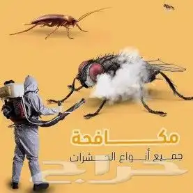شركة مكافحه الصراصير _ النمل الابيض _الوزغ _الفأران _جازان 2