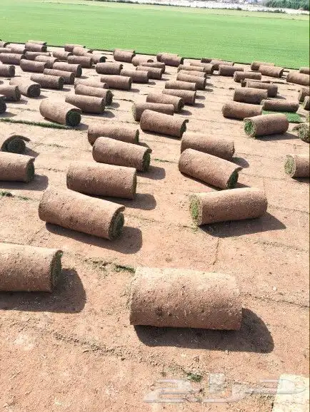 جميع انواع الثيل مع التوصيل 0