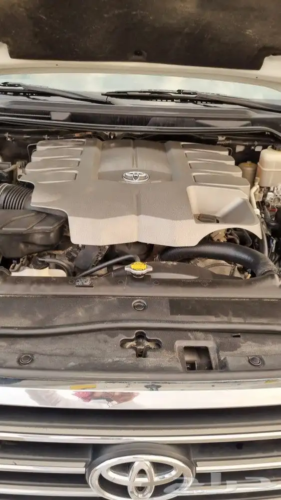 تم البيع الله يبارك للمشتري 46