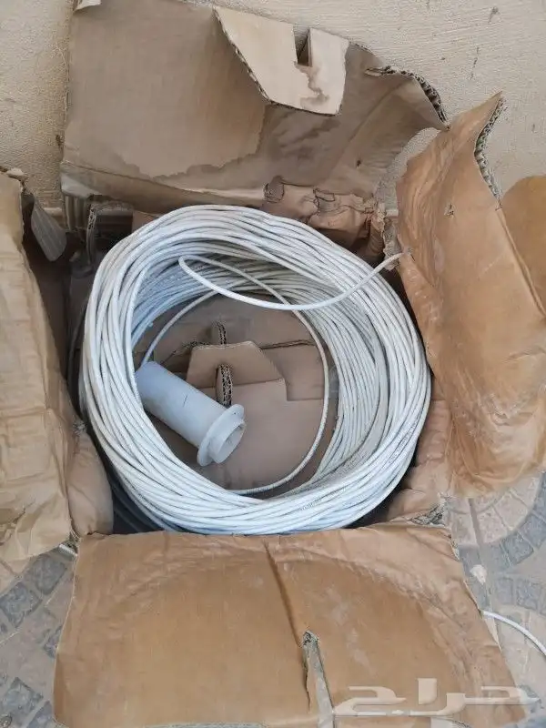 لمبات نيون كيبل كات 6 1