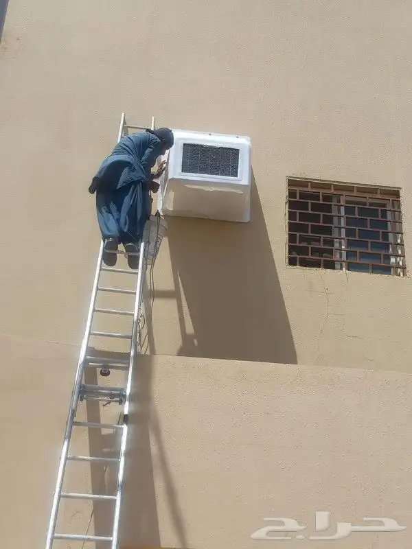 قطا م ف 0