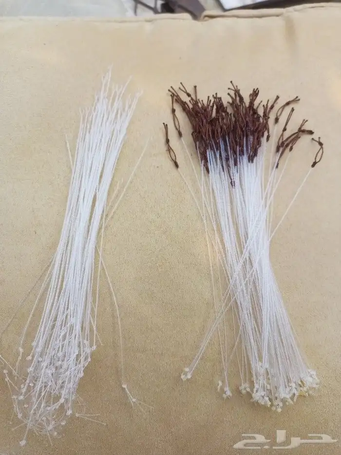 شبك لصيد الصقور 4