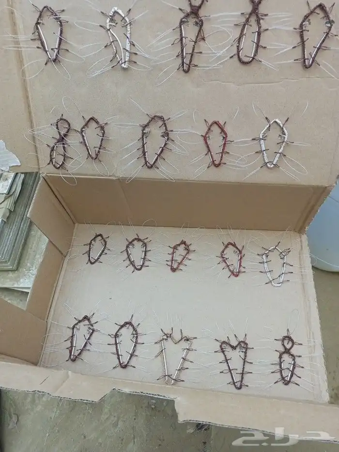 شبك لصيد الصقور 0