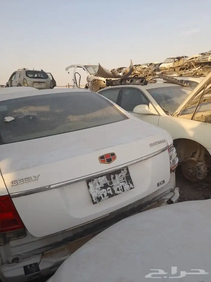 جيلى وفيات 2015 0