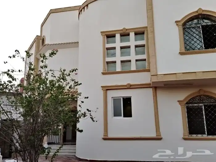 صباغ دهان بويات عوازل ديكورات ترميم شامل 19