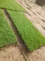 جميع انواع الثيل مع التوصيل 5