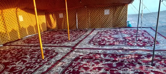 تاجير مخيمات بيوت شعر خيام كراسي ملكي فرش ملكي 4