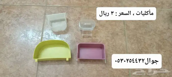 علف كروان روز  بادجي  كناري كاسكو فيتامينات فيرسلاقا  أقفاص 26