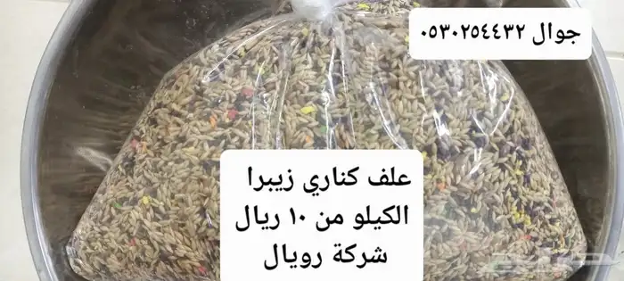 علف كروان روز  بادجي  كناري كاسكو فيتامينات فيرسلاقا  أقفاص 4