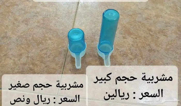 علف كروان روز  بادجي  كناري كاسكو فيتامينات فيرسلاقا  أقفاص 25