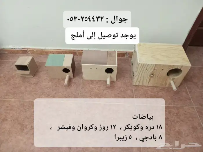 علف كروان روز  بادجي  كناري كاسكو فيتامينات فيرسلاقا  أقفاص 9