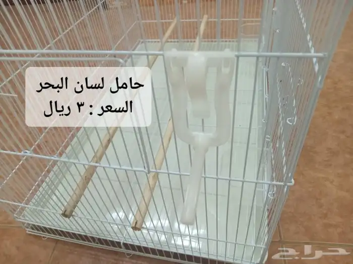 علف كروان روز  بادجي  كناري كاسكو فيتامينات فيرسلاقا  أقفاص 21