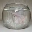 اسماك فايتر 0
