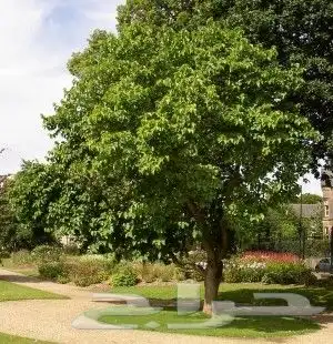 اختار زرعك باقل الاسعار خدمات الزراعه وتنسيق الحدائق عروض 1