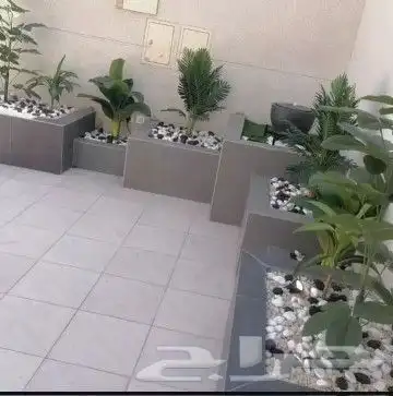 فن وتصميم وتنسيق الحدائق 1